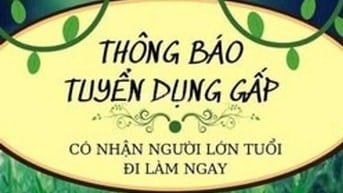 Tuyển 3 nhân viên phụ kho hàng hóa 