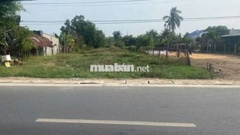 Đất 2 mặt tiền, Ql22B Gò Dầu, 1380m2, sổ sẵn, xây tự do, ngộp 320tr.m