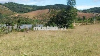 Bán đất thôn 4,, dakcam, quãng ngãi. View hồ chà môn. Đất cao ráo.