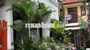 Cho thuê nhà biệt thự 4 Phan Kế Bính, quận 1, phường Tân Định