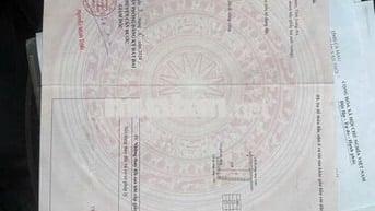 Chính chủ Bán đất full thổ cư 3MT đường 4m cách QL DT833B 500m- 1 tỷ 6