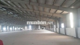 Cho thuê kho xưởng 2.000m2 MT Trần Văn Giàu, Bình Chánh, giá: 100tr/TH