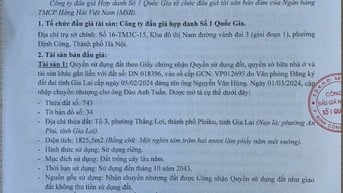 CÔNG TY ĐẤU GIÁ HỢP DANH SỐ 1 QUỐC GIA THÔNG BÁO BÁN ĐẤU GIÁ TÀI SẢN 