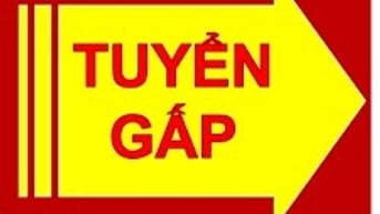 Gấp! Sắp đến Tết cần gấp LĐPT đóng hộp, gói hàng, kiểm tra hàng.