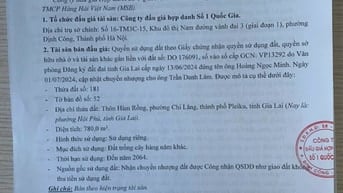 CÔNG TY ĐẤU GIÁ HỢP DANH SỐ 1 QUỐC GIA THÔNG BÁO BÁN ĐẤU GIÁ TÀI SẢN