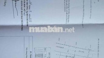 Đất xây siêu phẩm CHDV 5 tầng đẹp hxh sát trường tiểu học, Đs2 P16