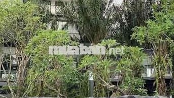 Cho thuê căn hộ tại SkyForest ( gần eco park)