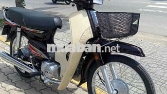 Drim thái , phục dựng mới nguyên con