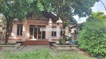 Cho thuê biệt thự hhg  gần ngã tư ga  500m giá 20tr