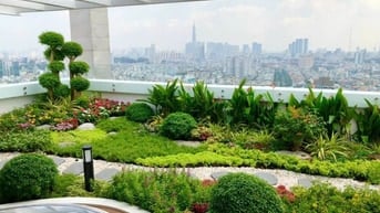 Bán căn Penthouse Botanic Towers, Phú Nhuận, 200m2, 4PN,  11.7 tỷ. SH