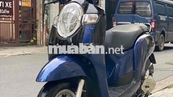 xe Zin đẹp miễn bàn