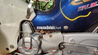 cub 50 dealim có đề, không cần bằng lái