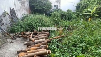 🏡 Đất thổ cư – Mạch Lũng, Thiên Lộc – 90m² – Chốt nhanh 5 tỷ
•