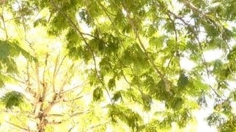 Kết bạn nam từ 52 đến 60t ở Hà Nội