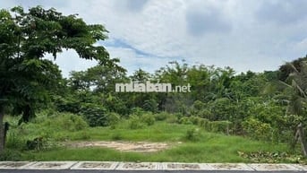 224m2 (10x24m) bán lỗ giá 720TR ngay TT Củ Chi, MT đường Nguyên Văn Ni