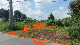 Công ty Đấu giá hợp danh Lam Sơn Sài Gòn THÔNG BÁO ĐẤU GIÁ TÀI SẢN