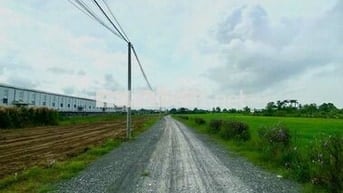 Đất nền Cần Giuộc 300m2 - DT830, quốc lộ 50 gần cảng Quốc Tế Long An