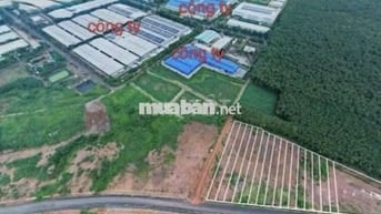 Đất Tân Phú gần kcn Bắc Đồng Phú