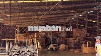 Bán hoặc cho thuê xưởng TRONG KCN TÂN UYÊN – TP. HỒ CHÍ MINH (Dự kiến