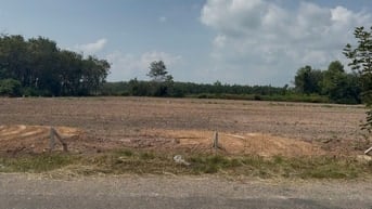 ĐẤT TẠI TP.HCM VIEW HỒ_5X50, THỔ CƯ 100M2