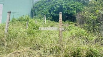 Tôi cần bán 5x22m thổ ấp Bình Tiền 1-DHH, giá 590tr Tl/SHR,ô tô ra vào