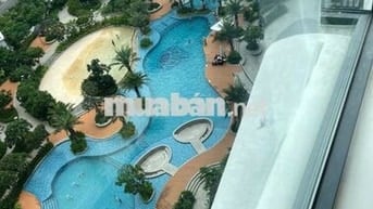 Cho thuê nhanh căn hộ cao cấp Diamond Centery - Celadon City . Ở liền