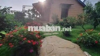 Bán gấp  Nhà vườn 200m² đẹp như resort, P.2 Bảo Lộc giá 490triệu