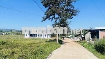 ĐẤT GIA LÂM , LÂM HÀ , LÂM ĐỒNG GIÁ CHỈ 750tr KHU VILLA ,HOMESTAY