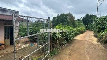 3340m2 nhà vườn trái cây - Lộc An - Bảo Lâm - Lâm Đồng