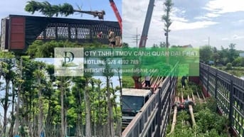 Báo Giá Thi Công Cây Xanh Công Trình Dự Án 2025: Chất Lượng 