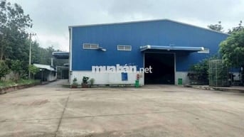 Xưởng chuyên sản xuất gỗ, đất 1ha, xưởng 2000m, giá 75 triệu