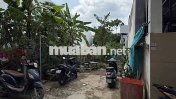 Bán nền phường an bình gần sân bóng