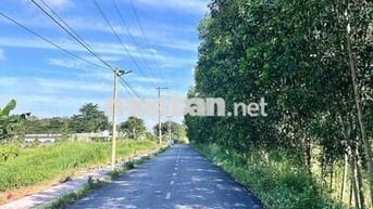 Cần bán 9 lô đất ngay An Viễn Trảng Bom, 1 sẹt đường Nguyễn Hoàng