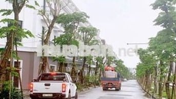 CẦN BÁN GẤP SHOPHOUSE TẠI THÀNH PHỐ VINH