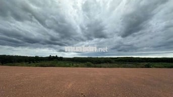 Bán đất đường xuyên tâm 1000m2(25x40) sẵn 500mTC giá 880tr Bình Phước