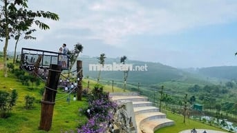 Đất View Hồ Tảo Hồng Trên Đồi Chè Ngay Khu Du Lịch lớn.