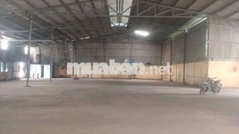 Cho thuê xưởng tân hạnh đươnvf xe cont