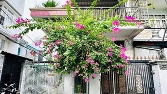 Bán nhà rộng hxh (5x15) 134/44 Đường số 1 P16 Gò Vấp