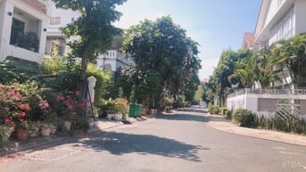 Cho thuê Biệt thự Phú Mỹ vị trí đẹp giá 45tr