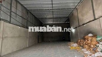 Kho Thuê 8×30 ( 240m. ) Ấp 5 xã Tân vĩnh lộc B bình chánh