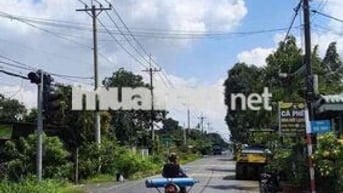 🌟 BÁN ĐẤT MẶT TIỀN ĐƯỜNG NGAY TỈNH LỘ 15  – TP.HCM  - CHỈ TỪ 1 TỶ 460