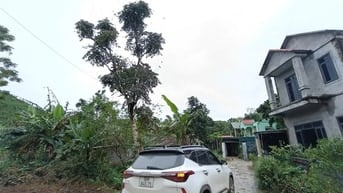 ĐẤT LÔ GÓC 430M2 - ĐƯỜNG LIÊN XÃ-GẦN UỶ BAN TRƯỜNG HỌC-