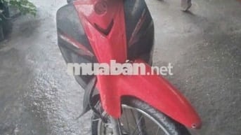 Ket tiên cân ban gap