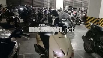 Honda Lead 2011 màu Kem