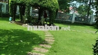 Cho thuê Phòng gần DHCN /Chợ Gò Vấp