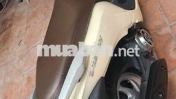 Xe vision của nhà