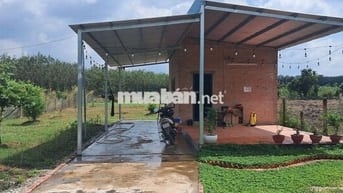 Bán Lô Đất - Nhà Vườn 1280m2 - 300 thổ cư giá ***