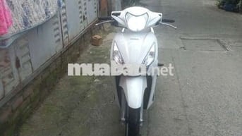 Vision cuối 2016 cọp bstp