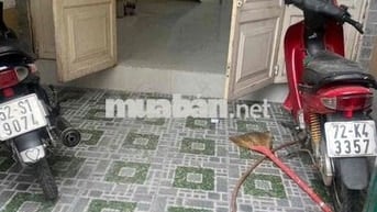 cho thue nhà hẻm xe tải Phan huy ích phường 14 Gò Vấp