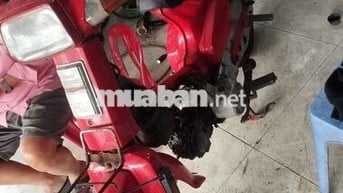 Citi máy ngon , nhựa tạm